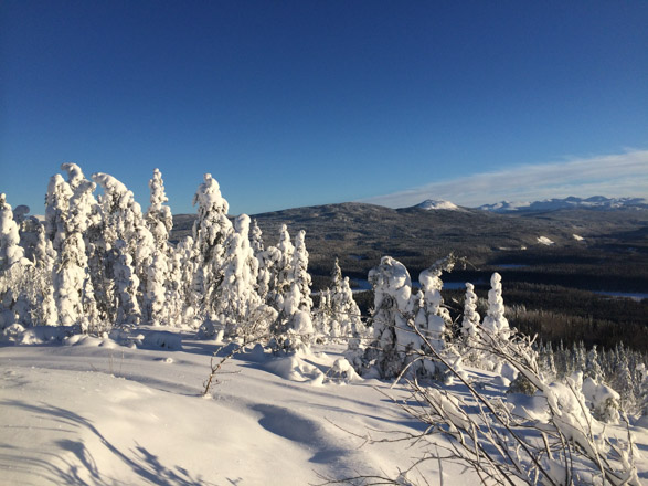 Winter scene from Stikine