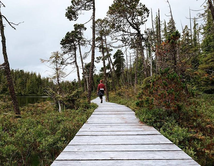 Vancouver Island North commuter trail