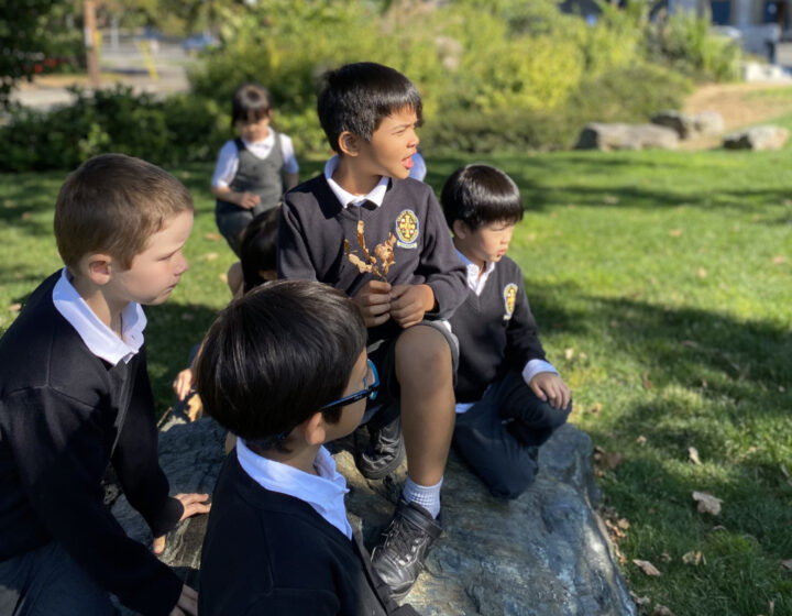 Boys sitting on the lawn